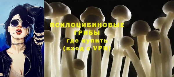 дживик Бронницы