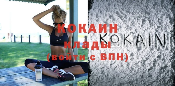 дживик Бронницы