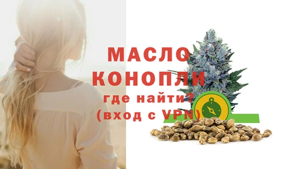 дживик Бронницы