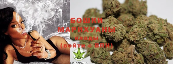 дживик Бронницы
