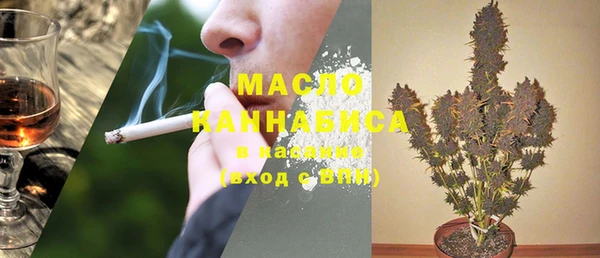 прущий лед Богданович